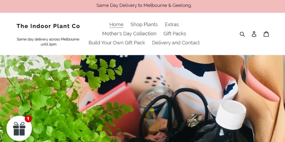 The Indoor Plant Co - Top 20 Gift Delivery Companies in Melbourne, best same day delivery in Melbourne